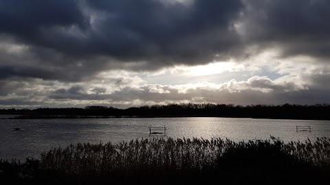 RSPB St Aidan's