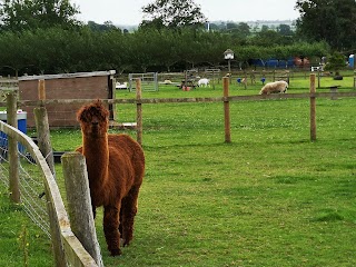 Paradise Found Educational Farm Park