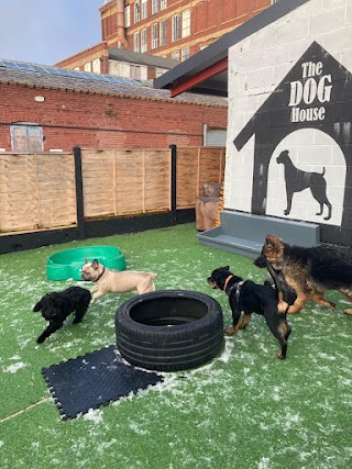 The Doghouse Doggy Day Care Ltd