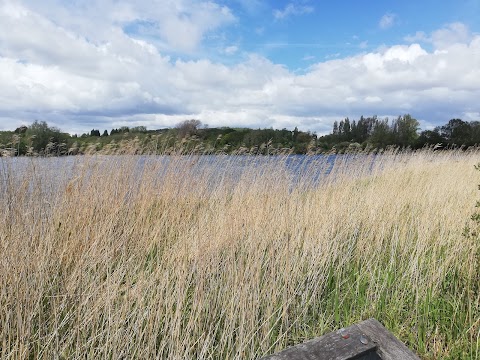 Cosmeston Lakes Country Park & Medieval Village