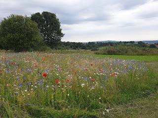 Manor Fields Park