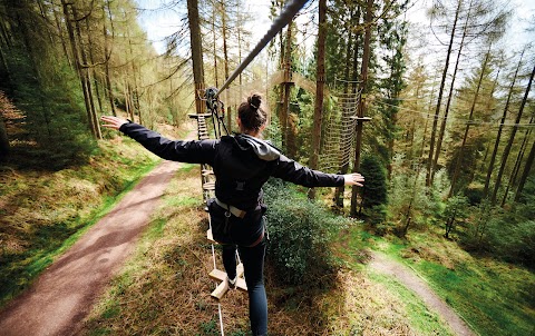 Go Ape Delamere