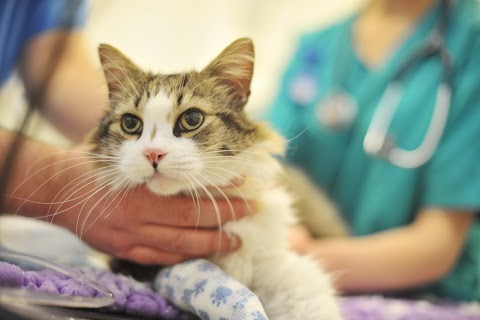 Churchfield Veterinary Centre