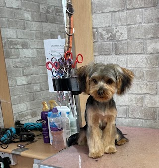 Snuggles Dog Grooming & Accessories Newport Pagnell