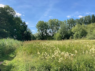 Cremer's Meadow