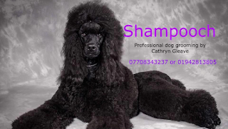 Shampooch Professional dog grooming by Cathryn Gleave./ Westhoughton