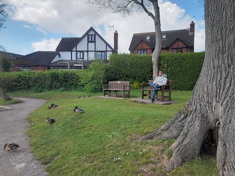 Winterbourne Duck Pond