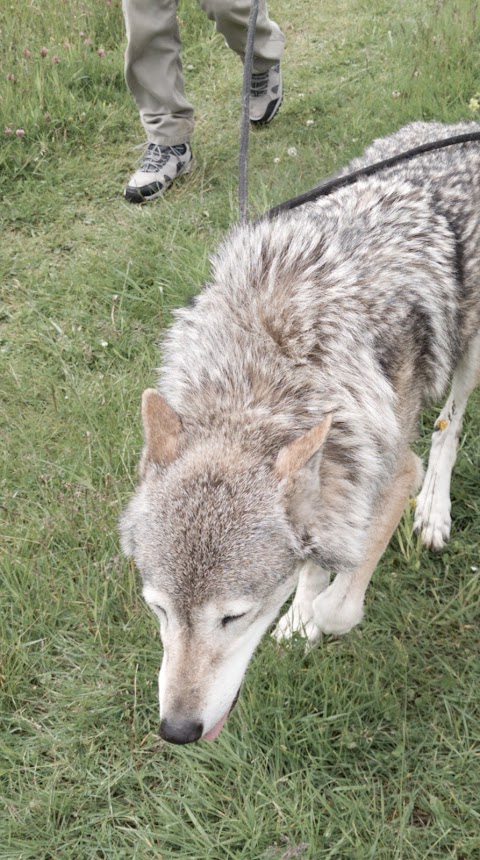 Heythrop Zoological Gardens