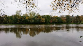 Darley Playing Fields