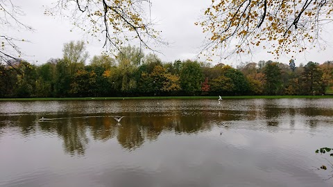 Darley Playing Fields