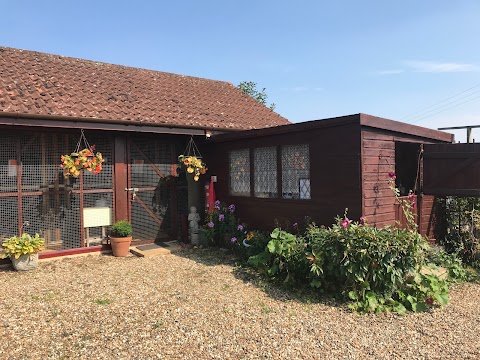 Morton Cottage Cattery