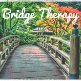 Bridge Therapy Southampton