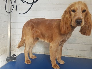 Bobby Dazzlers Dog Grooming