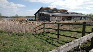 Idle Valley Nature Reserve (Notts Wildlife Trust)