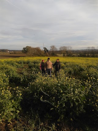 Thrift End Farm Canine & Pet Centre