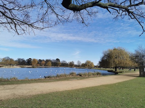 Bushy Park Coffee Kiosk