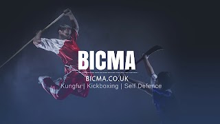 British Institute for Chinese Martial Arts