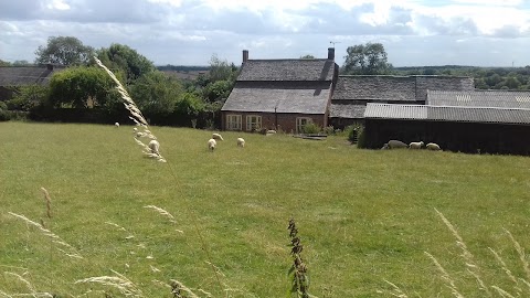 Little Markfield Farm