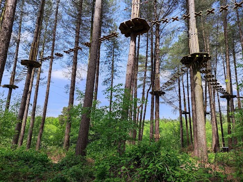 Go Ape Delamere