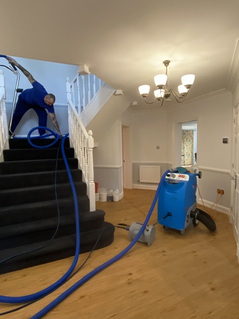 Surrey Hills Cleaning