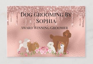 Dog Grooming By Sophia