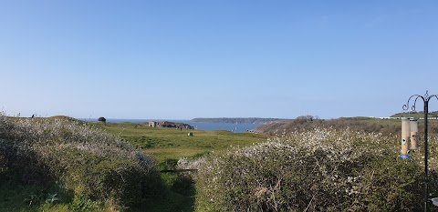 Gower Bird Hospital