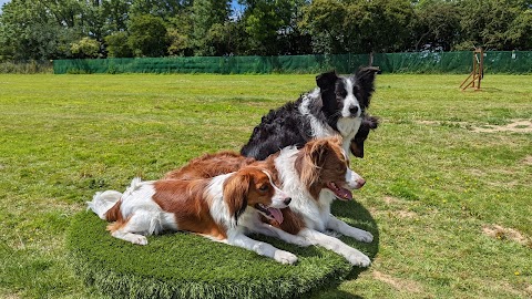 Molescroft Manor Secure Dog Walking Field