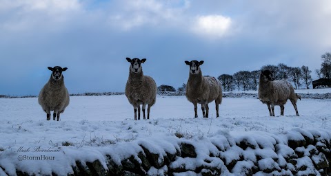 StormHour