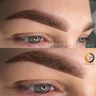 World Of Brows