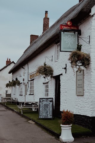 The Old Cherry Tree