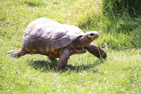 Askham Bryan Wildlife & Conservation Park