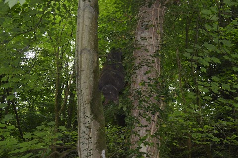 Loggerheads Country Park