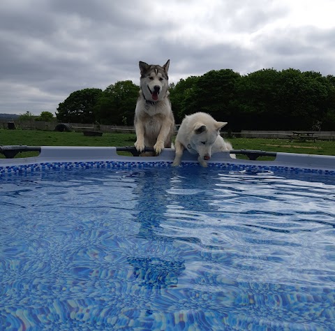 Bluerose Dog Park