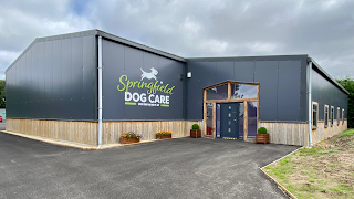 Springfield Dog Care