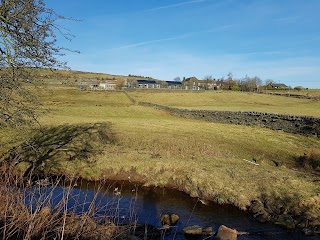 Colden Junior & Infant School