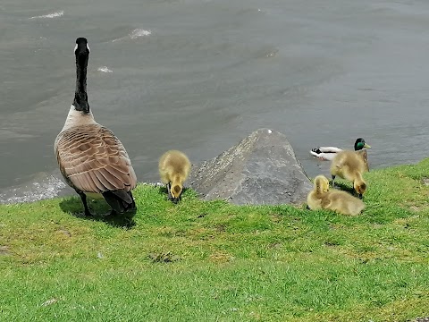 Townhill Country Park