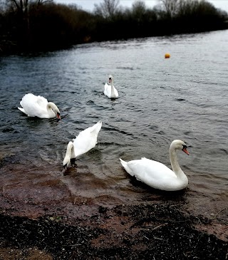 Rushden Lakes Nature Trail