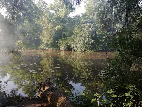 Дністровський каньйон ( в т.ч.заплави)