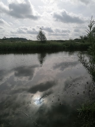 Wensum view cottage