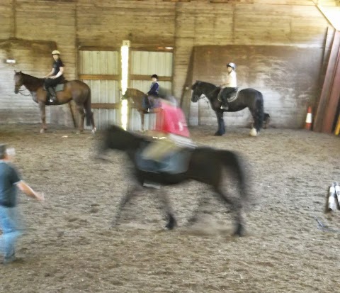 Hamsey Riding School