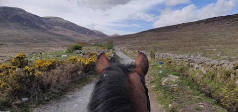 Gamekeepers Lodge Equestrian Centre