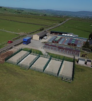 Mosside Kennels & Cattery