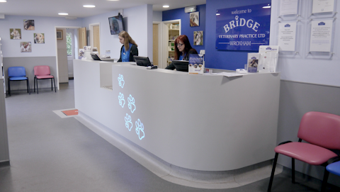 Bridge Veterinary Practice