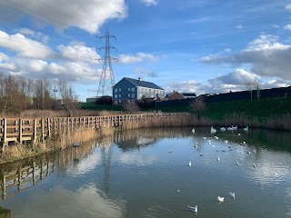 Mayflower Park Wetlands