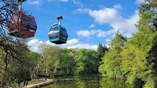 Skyride (Forbidden Valley Station)