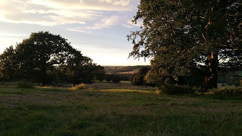 Bretton Country Park Kennels and Cattery