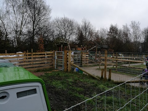 Flowery Field Primary School