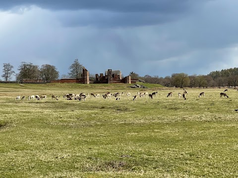 Bradgate Park