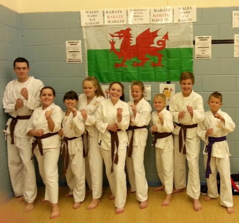 Swansea karate classes for kids and adults in swansea wales