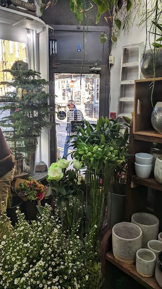 Hunter Florist - Brighton